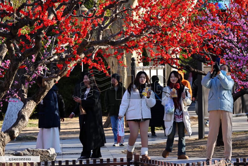 Upcoming Spring Festival