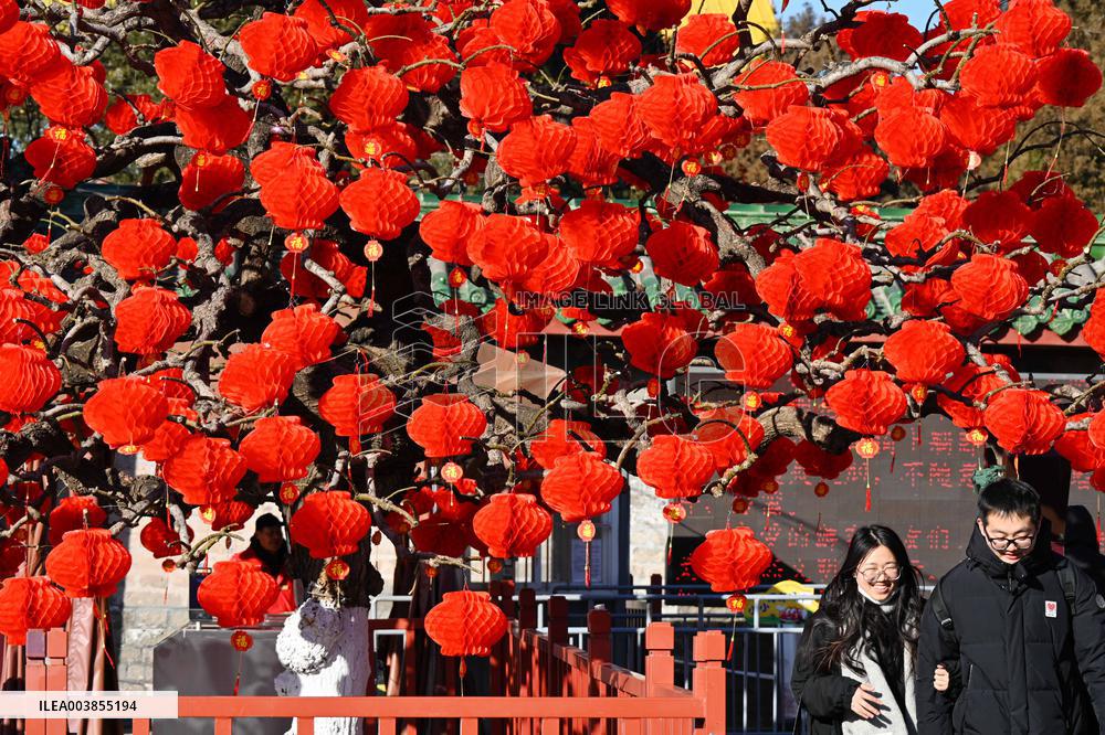 Upcoming Spring Festival