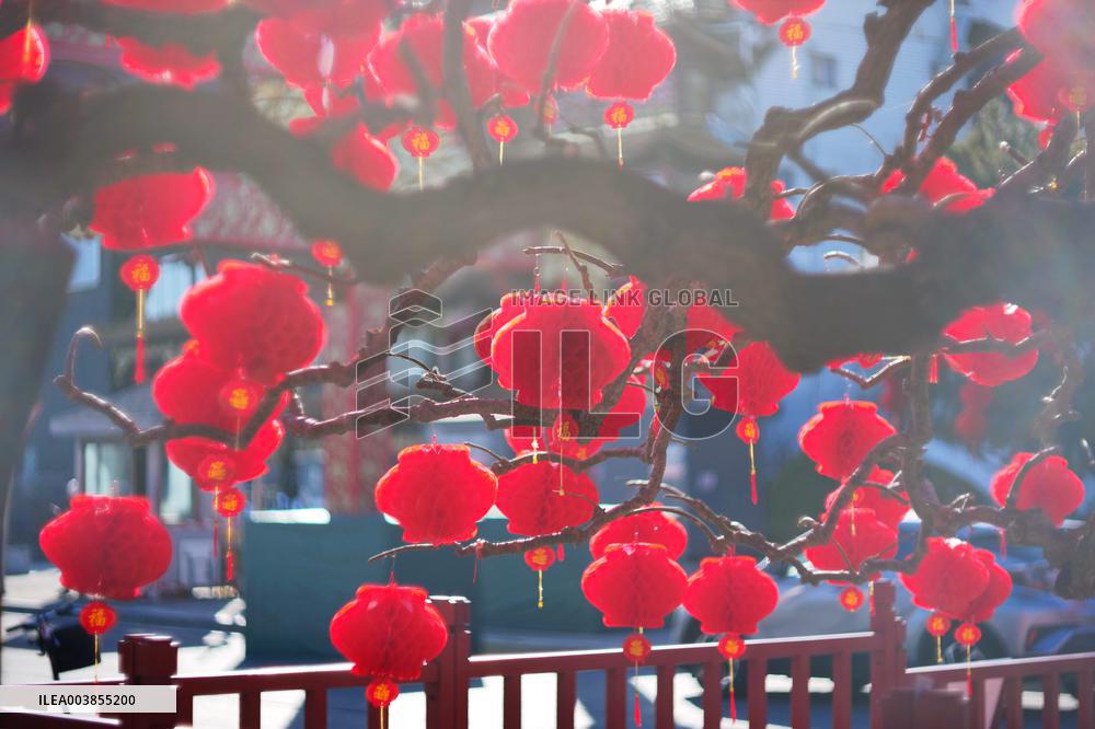 Upcoming Spring Festival