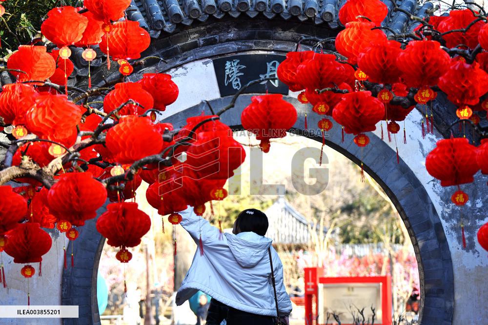 Upcoming Spring Festival