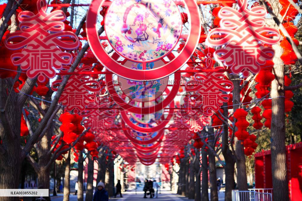 Upcoming Spring Festival