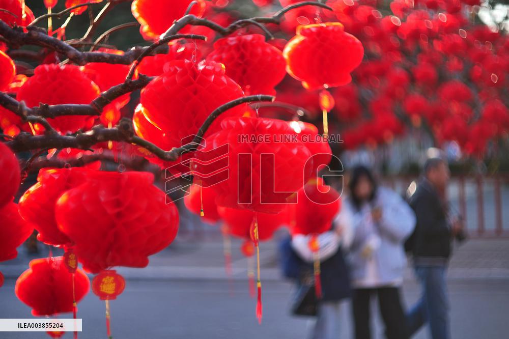 Upcoming Spring Festival