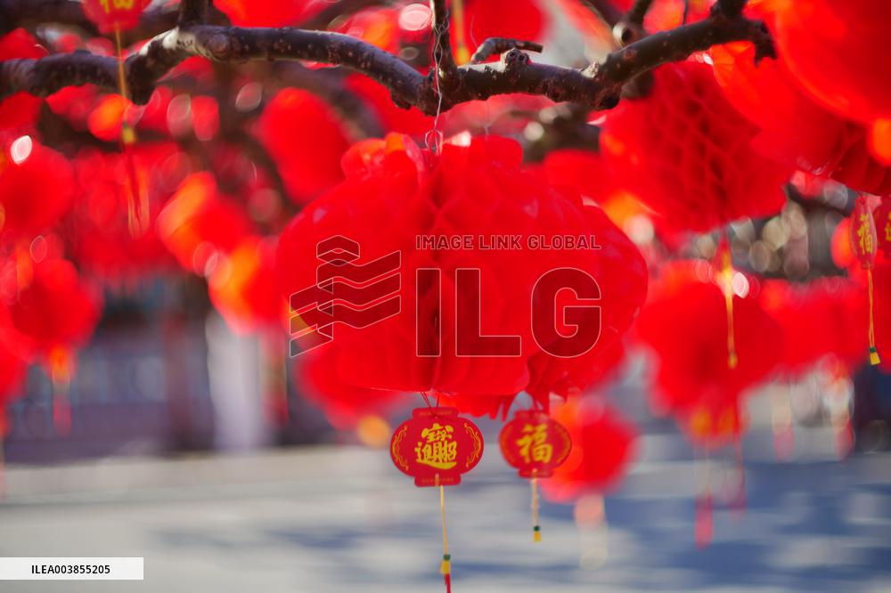 Upcoming Spring Festival