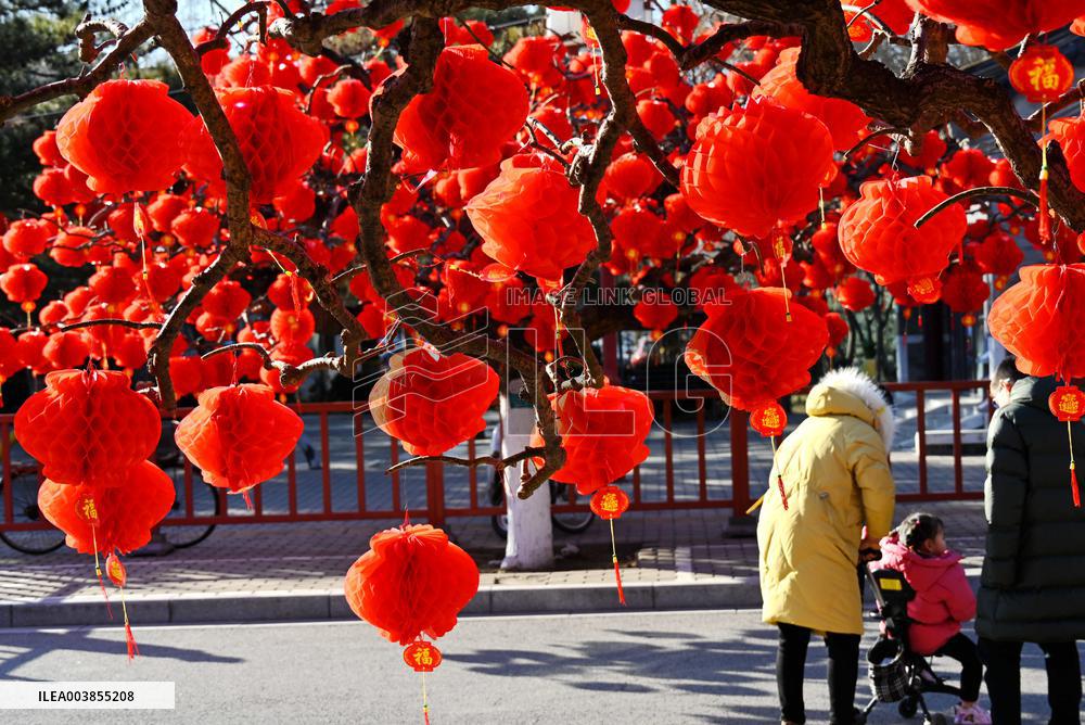 Upcoming Spring Festival