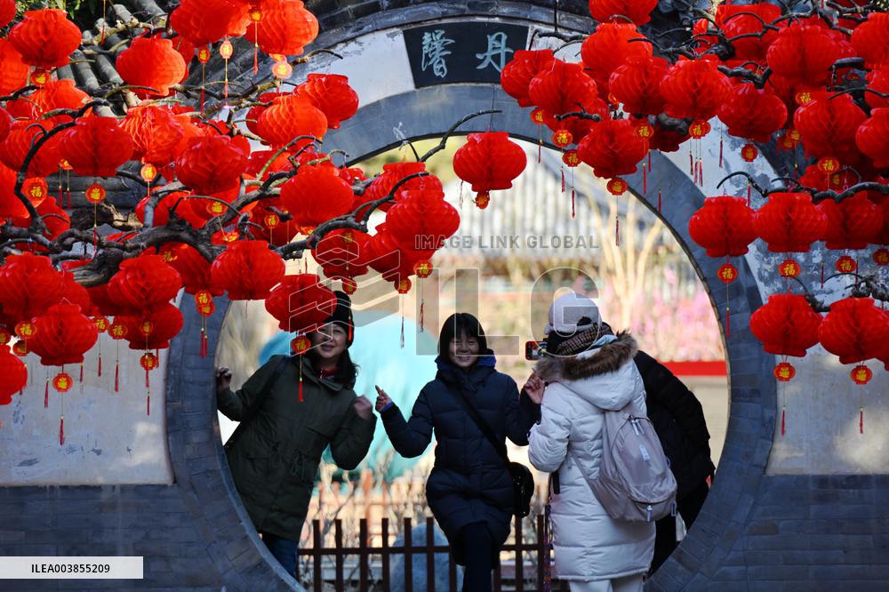 Upcoming Spring Festival