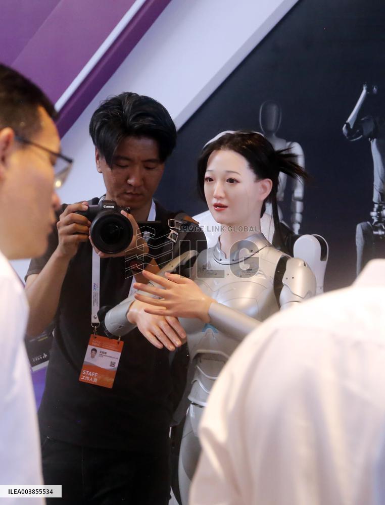 AI Humanoid Robots Industrialization