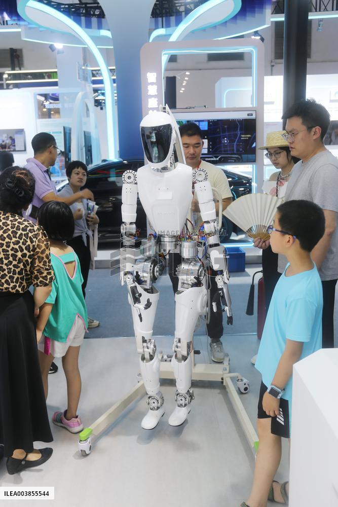 AI Humanoid Robots Industrialization