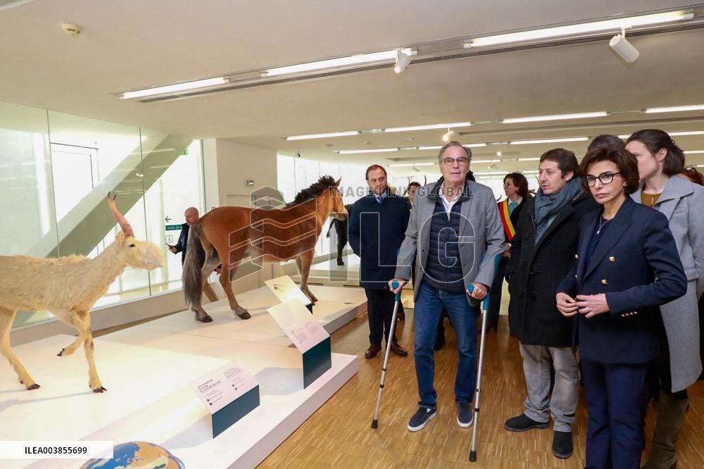 Rachida Dati on A Virtual Tour of The Cosquer Cave - Marseille