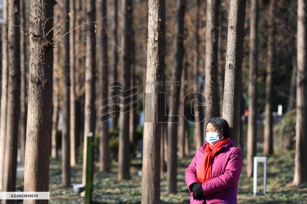 Chinese Elderly