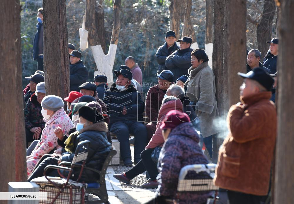 Chinese Elderly