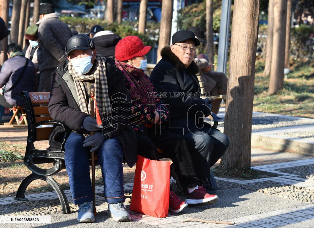 Chinese Elderly