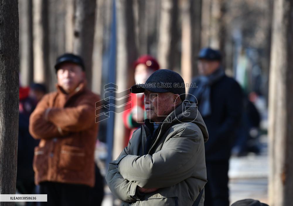 Chinese Elderly