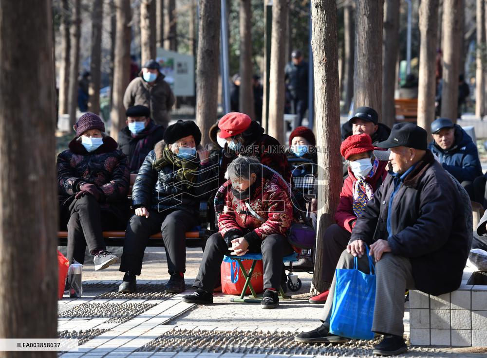 Chinese Elderly