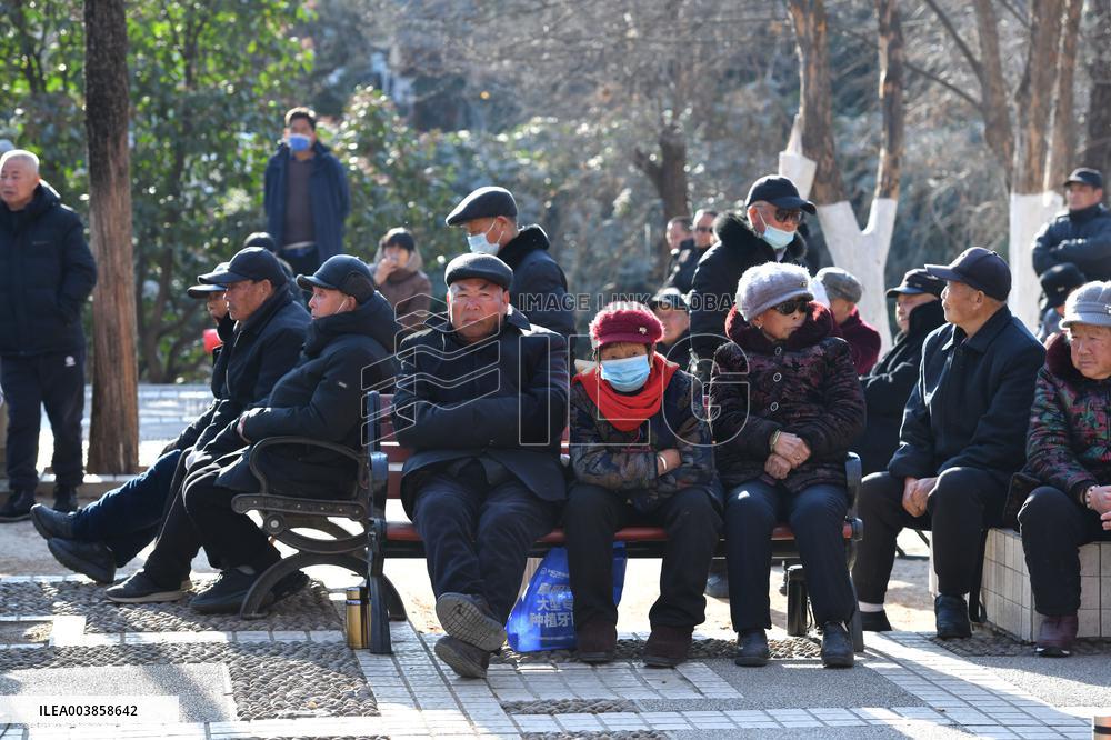 Chinese Elderly