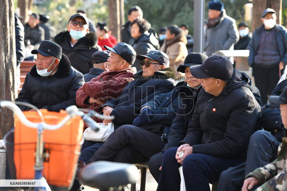 Chinese Elderly