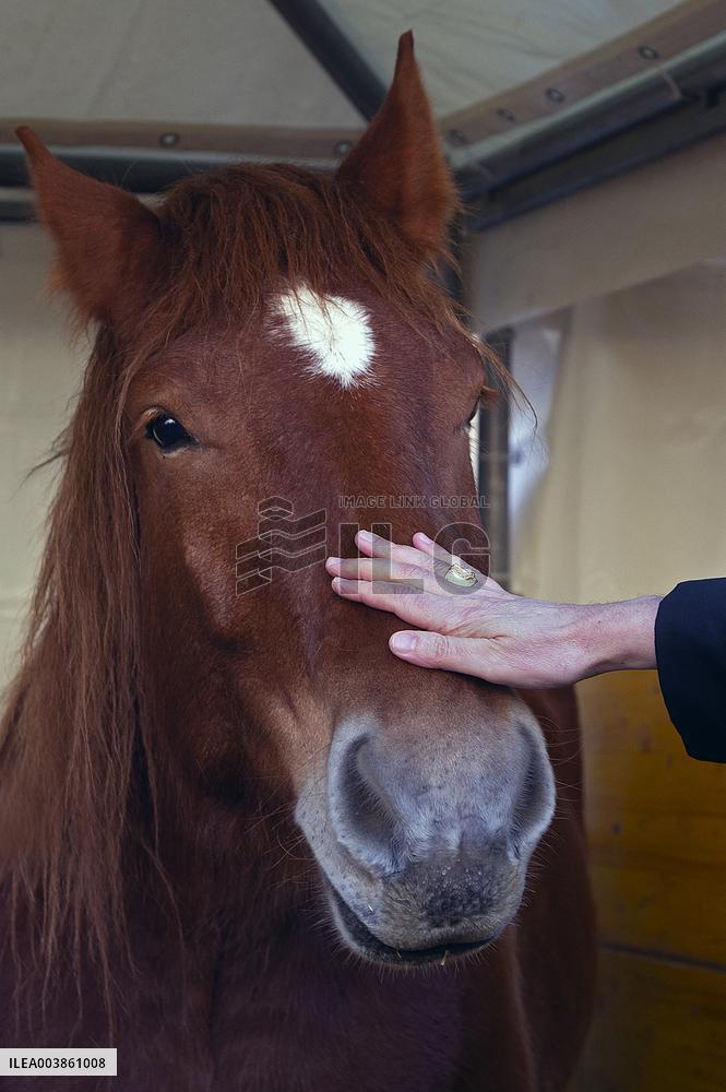 Feast of Saint Antony - Vatican