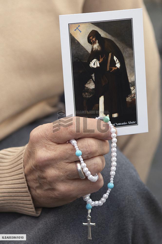 Feast of Saint Antony - Vatican