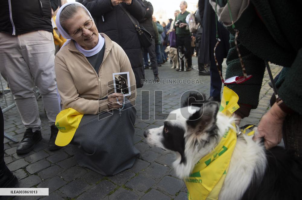 Feast of Saint Antony - Vatican