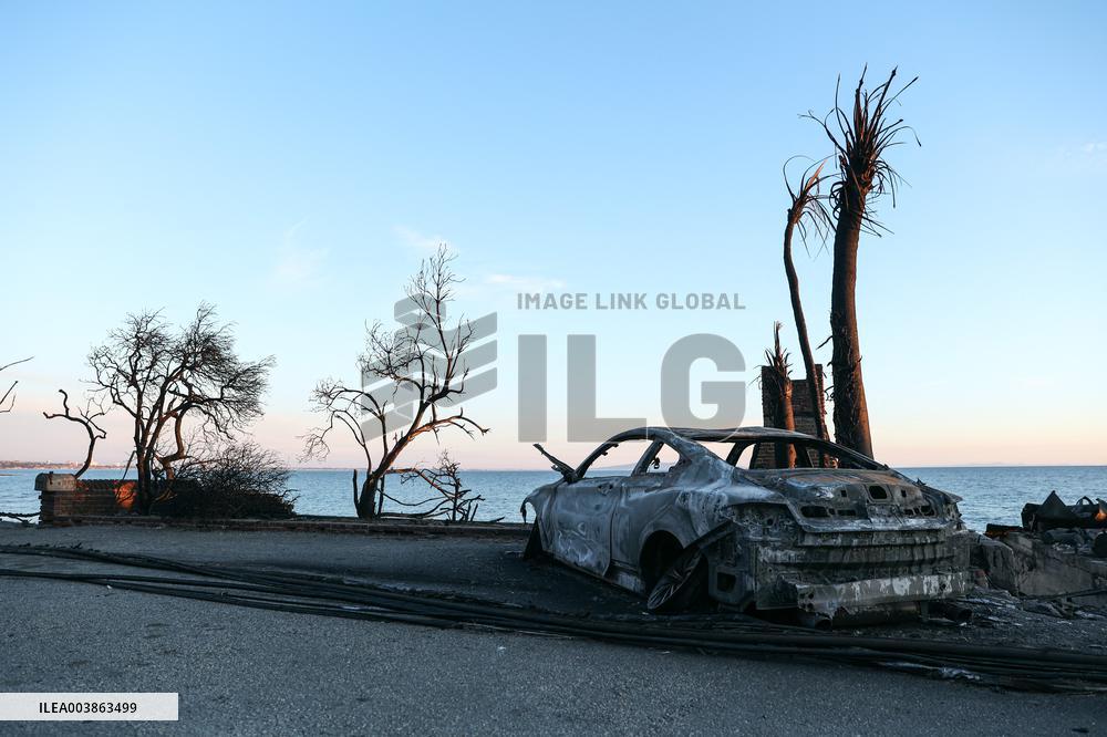 Disaster Areas Of Pacific Palisades After The Wildfire - CA