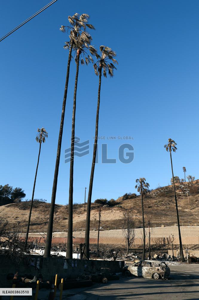 Disaster Areas Of Pacific Palisades After The Wildfire - CA