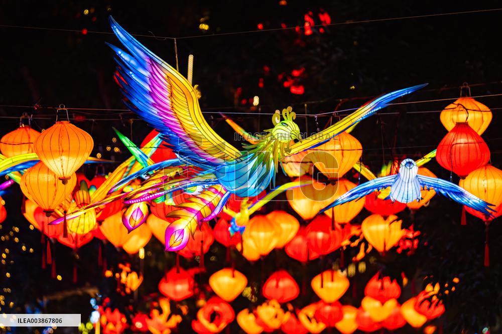 Chinese Lunar New Year Celebration in Chongqing