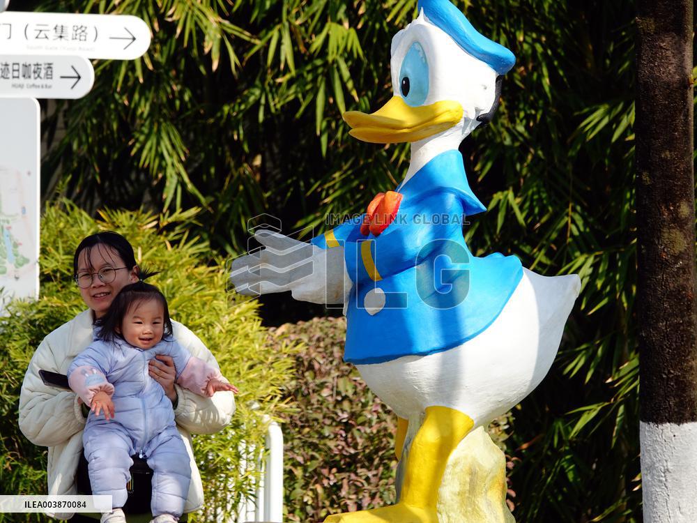 The Number of Births in China Increase in 2024