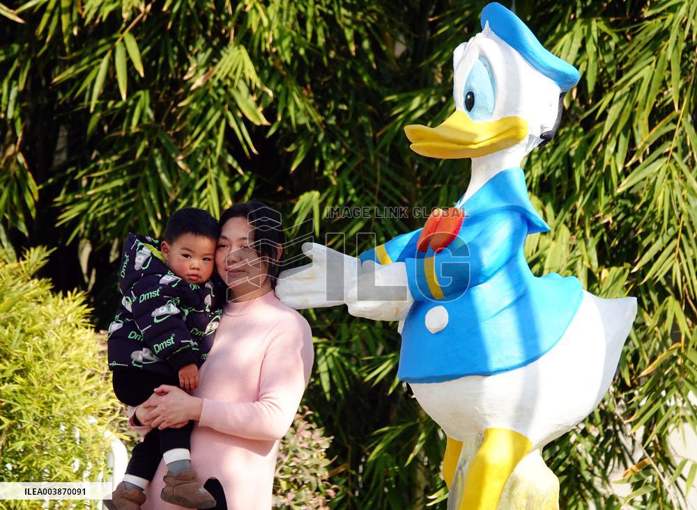 The Number of Births in China Increase in 2024