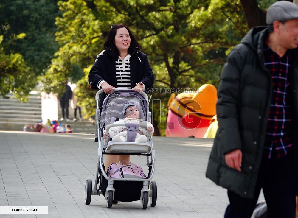 The Number of Births in China Increase in 2024