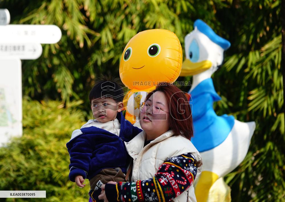 The Number of Births in China Increase in 2024