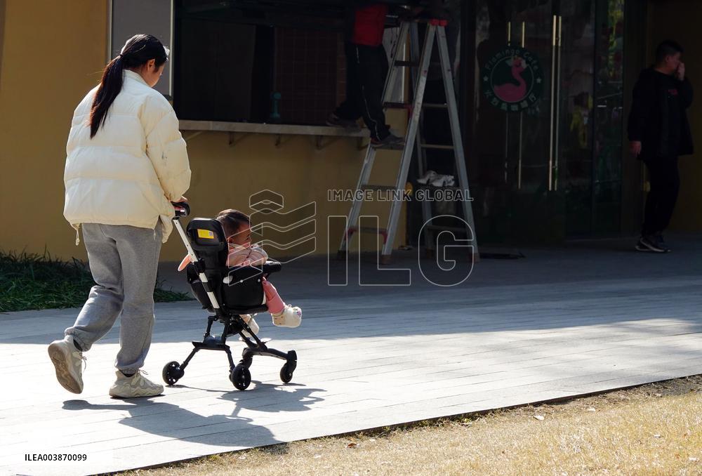 The Number of Births in China Increase in 2024