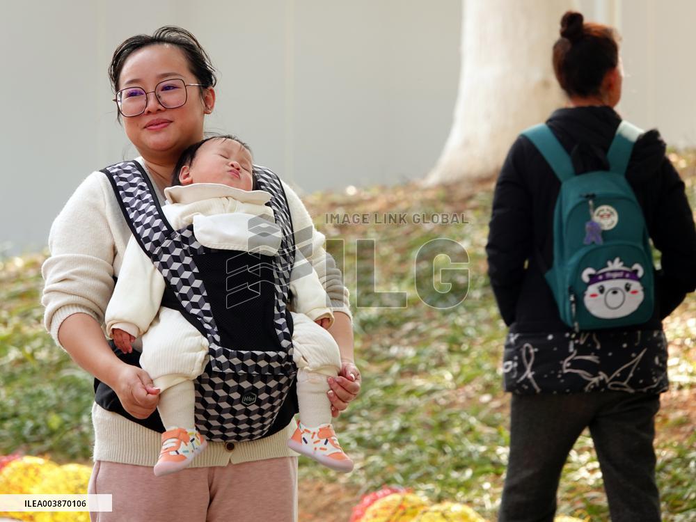 The Number of Births in China Increase in 2024