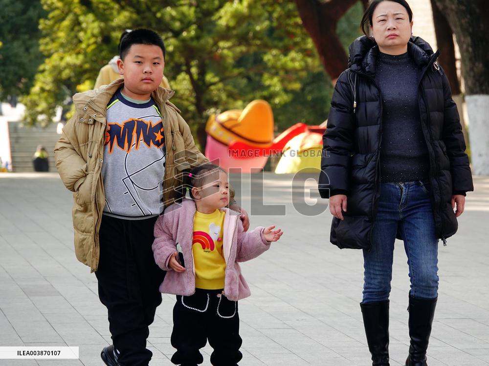 The Number of Births in China Increase in 2024
