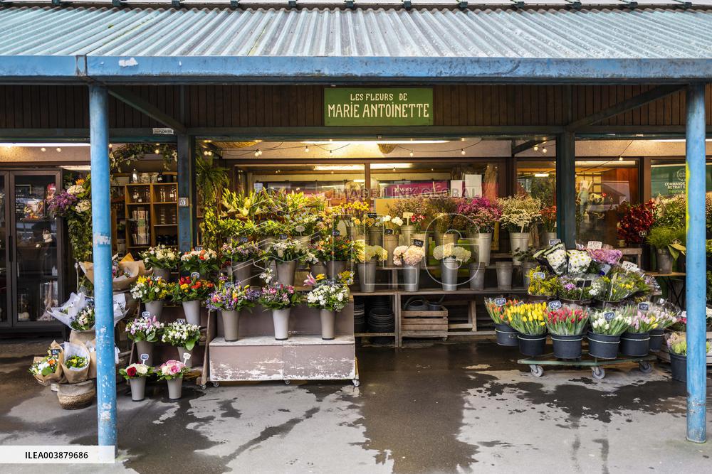 Flowers After Anses Report On Florists’ Exposure To Pesticides - Paris
