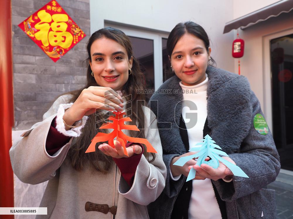 Lunar New Year Cultural Temple Fair Warm-up in Beijing