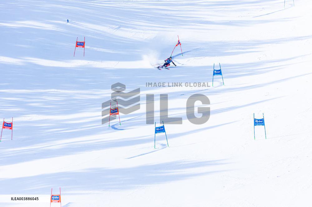 SPORT INVERNALI - Sci Alpino - AUDI FIS Ski World Cup - Giant Slalom - Women