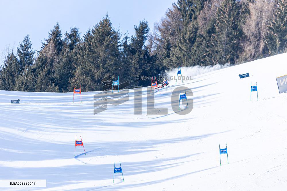 SPORT INVERNALI - Sci Alpino - AUDI FIS Ski World Cup - Giant Slalom - Women