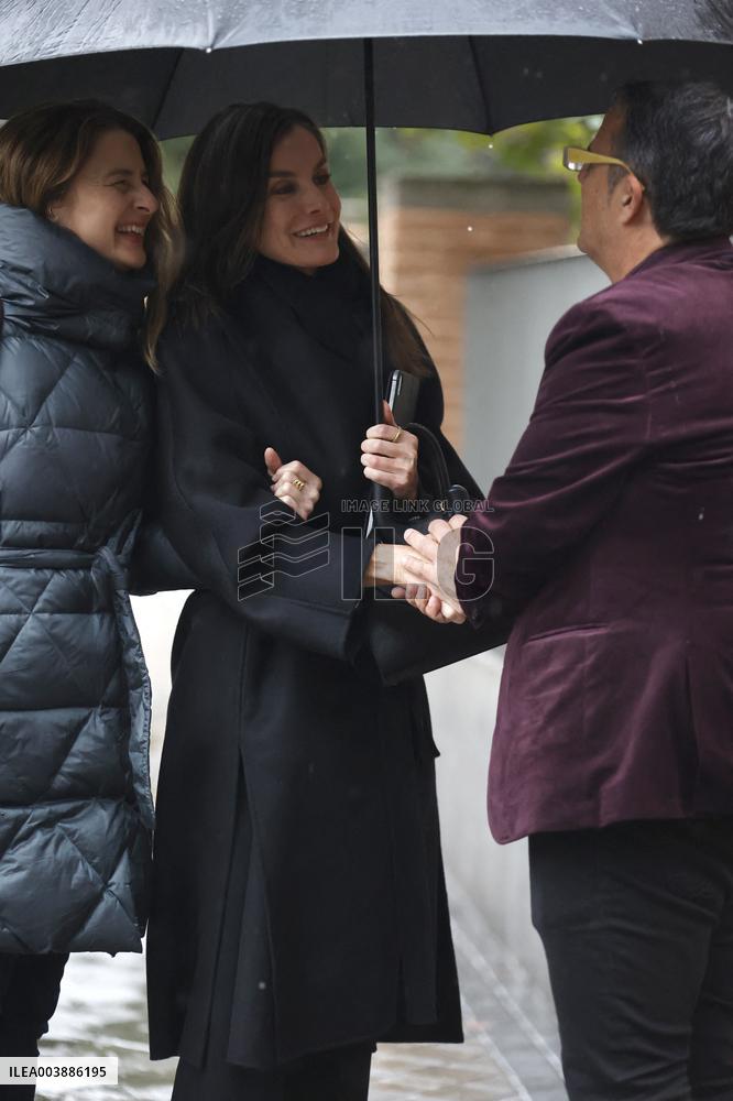 Queen Letizia At Working Visit - Madrid