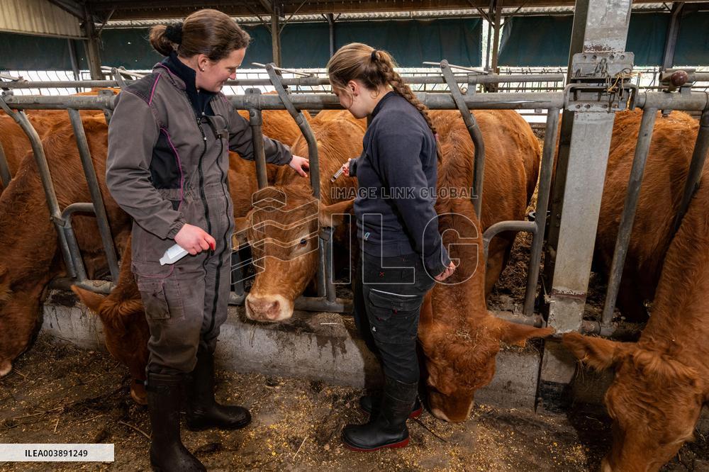 FCO Vaccination Campaign - France