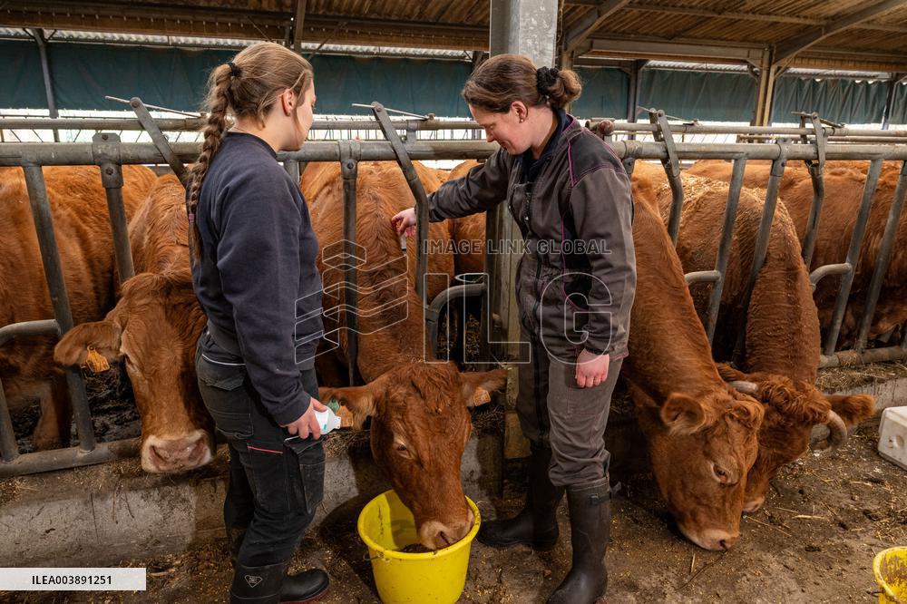 FCO Vaccination Campaign - France