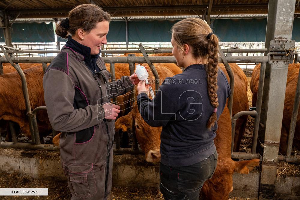 FCO Vaccination Campaign - France