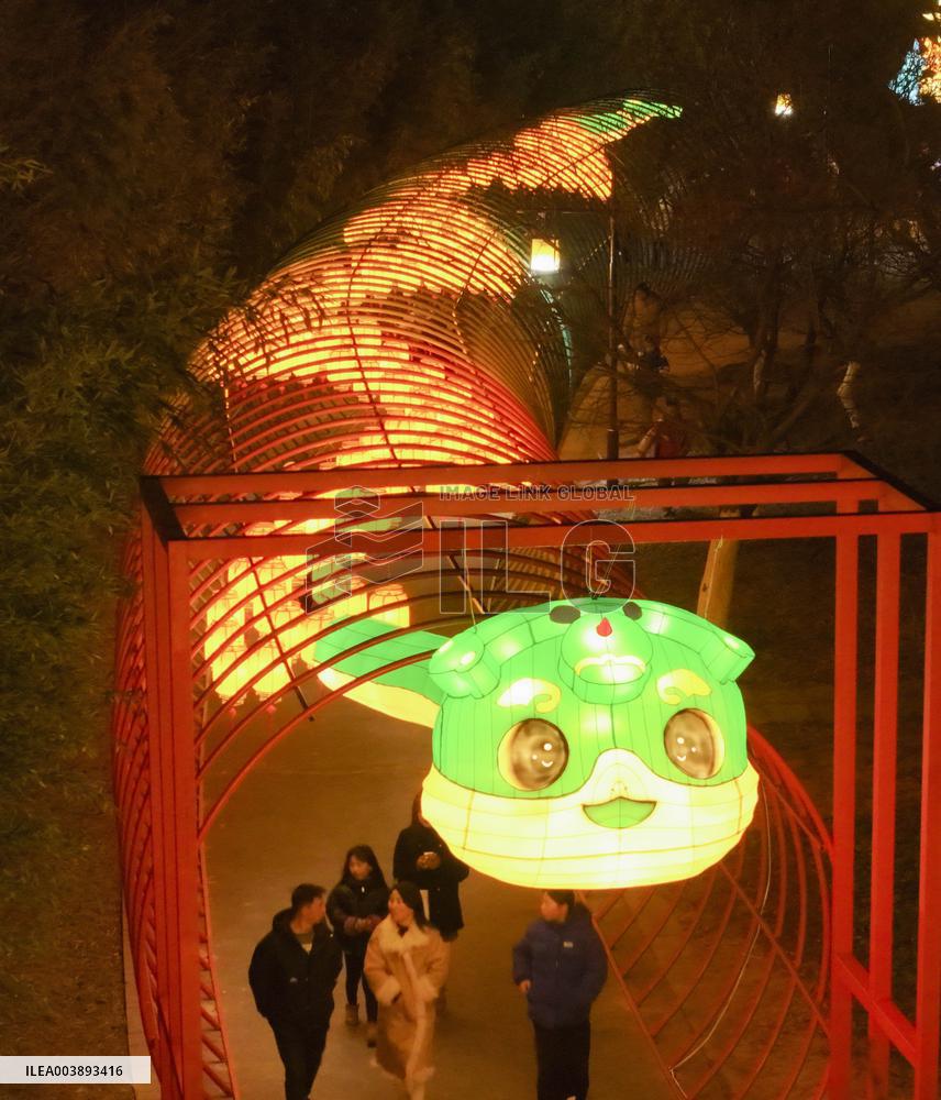 Tourists Enjoy Festive Lanterns in Huaian