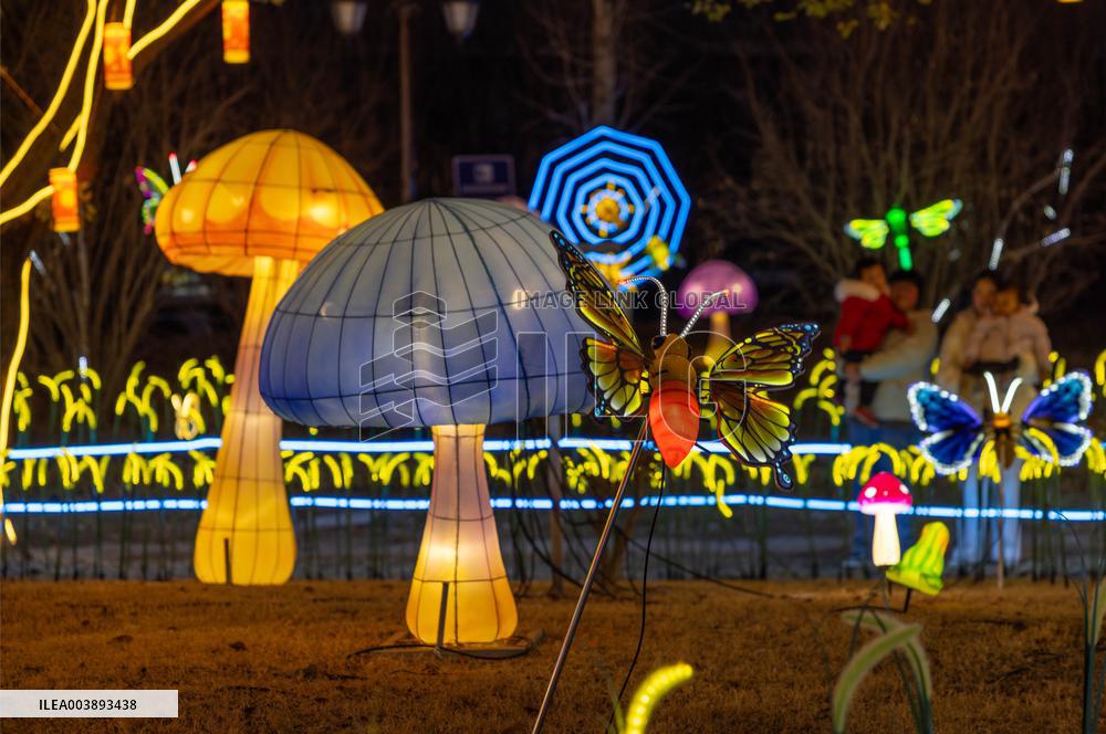 Tourists Enjoy Festive Lanterns in Taizhou