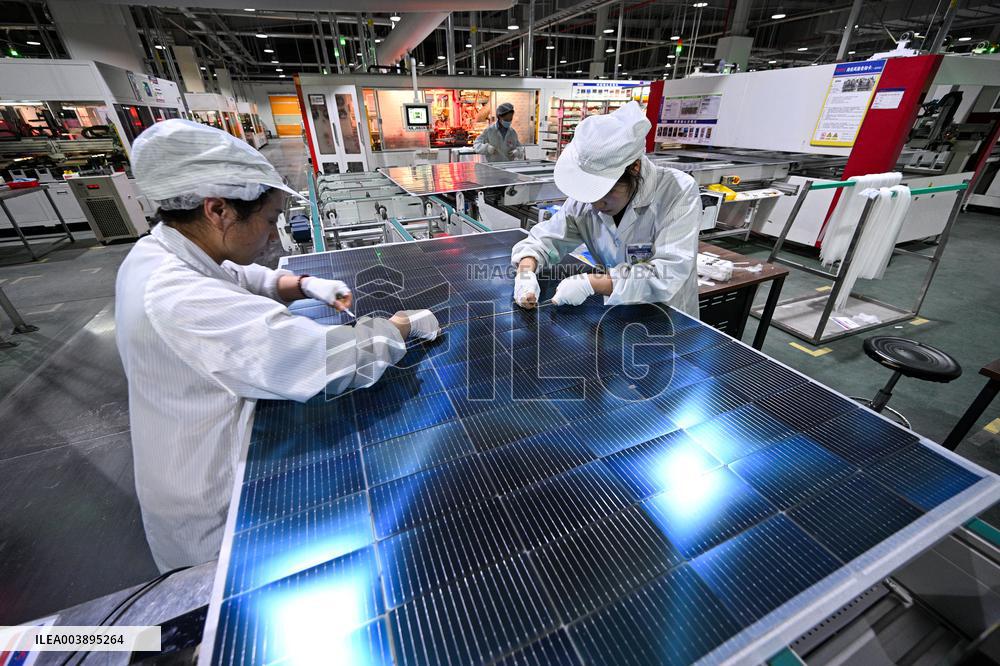 Chinese PV Module Export