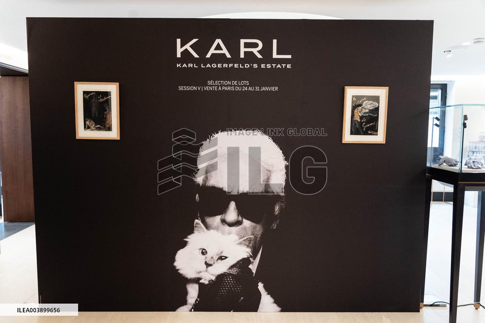 Auction of Karl Lagerfeld's Personal Collection - Paris