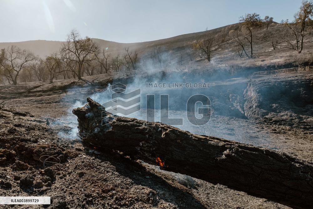 Smoke And Damages Caused By Hughes Fire - USA