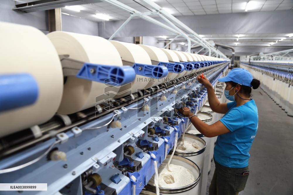 Xinjiang Textile Industry