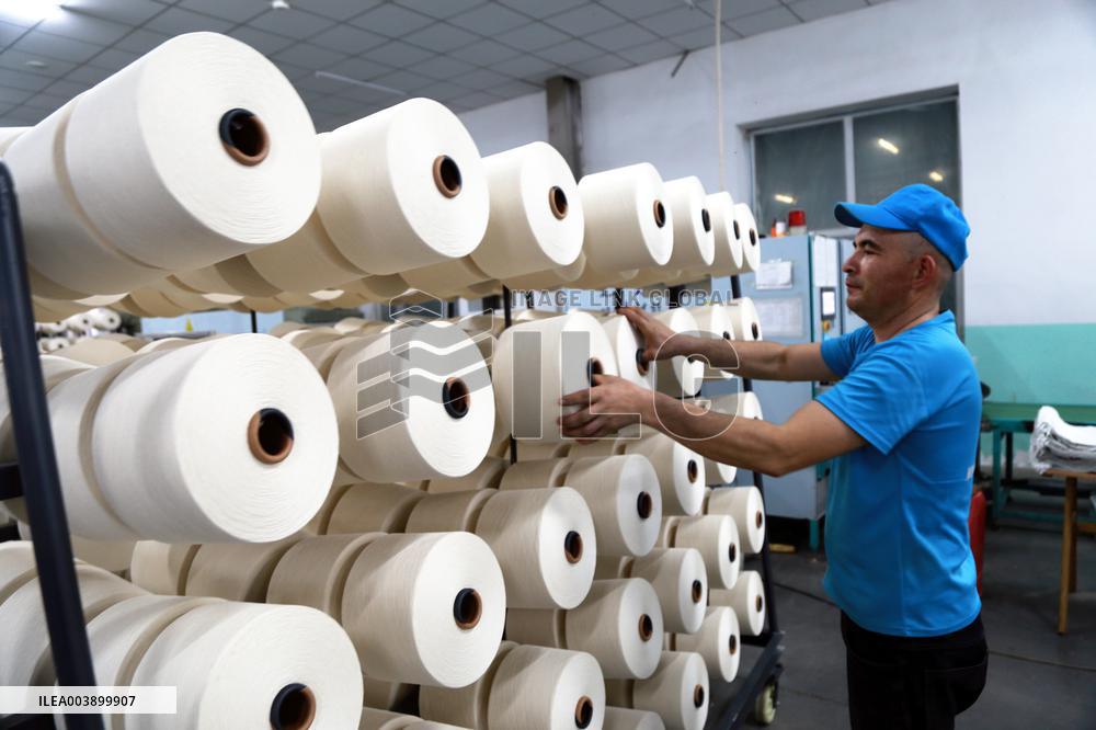 Xinjiang Textile Industry