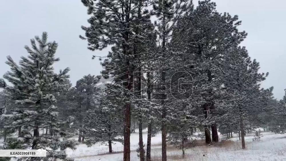 US: Winter Storm Brings Several Inches Of Snow To Denver Metro Area