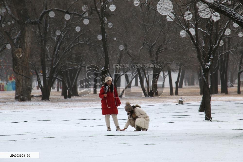 Summer Resort Snow Scenery