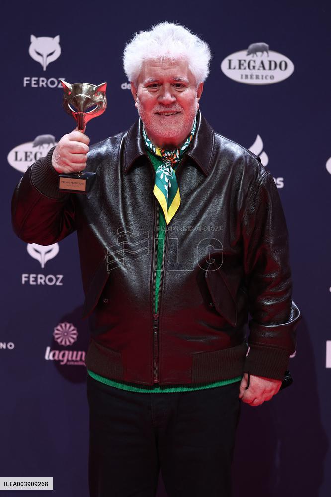 Pedro Almodovar Wins Feroz Award - Spain
